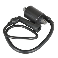 2Pcs For Yamaha Virago XV700 XV750 XV1000 XV1100 42X-82310-70-0 Ignition Coils