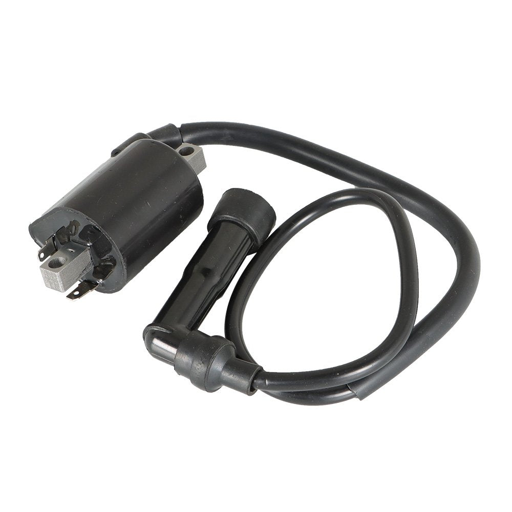 2Pcs For Yamaha Virago XV700 XV750 XV1000 XV1100 42X-82310-70-0 Ignition Coils