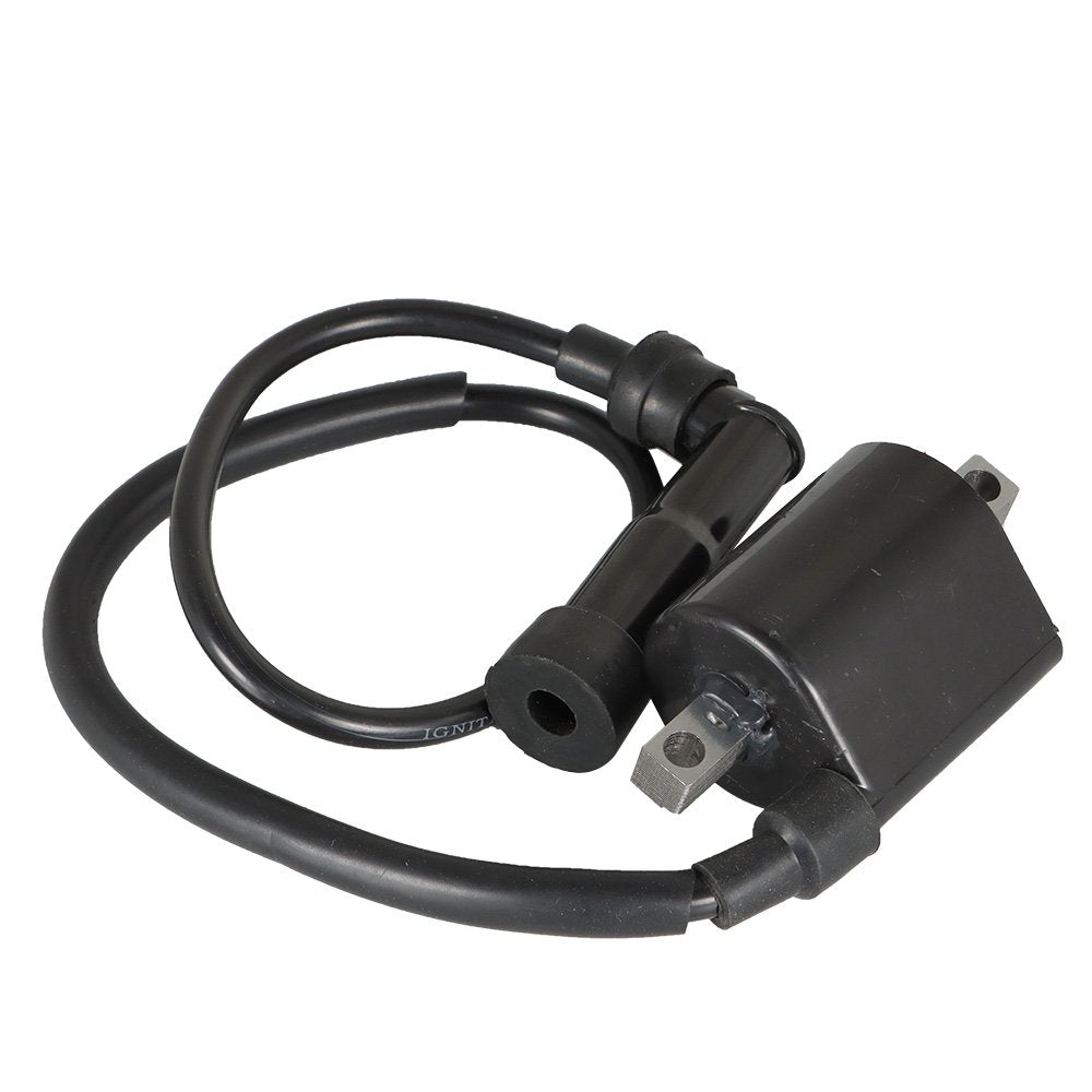 2Pcs For Yamaha Virago XV700 XV750 XV1000 XV1100 42X-82310-70-0 Ignition Coils