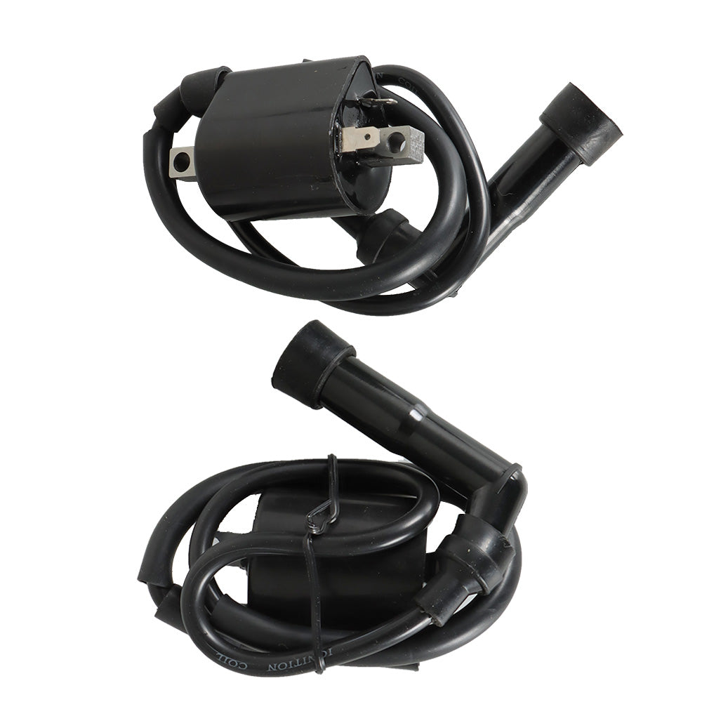 2Pcs For Yamaha Virago XV700 XV750 XV1000 XV1100 42X-82310-70-0 Ignition Coils
