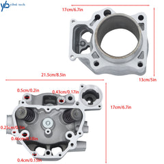 Cylinder Rebuild Kit/Cylinder Head + Medium Repair Kit For Honda TRX420 2009-24