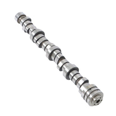 TOPPARTZ Camshaft MDS Lifters Kit+Water Oil Pumps For Ram 1500 5.7L 53022263AE