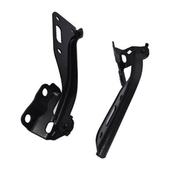 TOPPARTZ Hood Hinge Right and Left Pair Set Fit for Honda Accord Sedan Coupe 2018 2009 2010 2011 2012 HO1236117 HO1236118 60120TA0A00ZZ