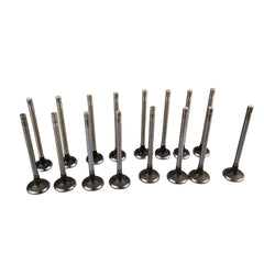 SAIC MAXUS G10 1.9T Original Intake Valve X190701 Exhaust Valve X190725