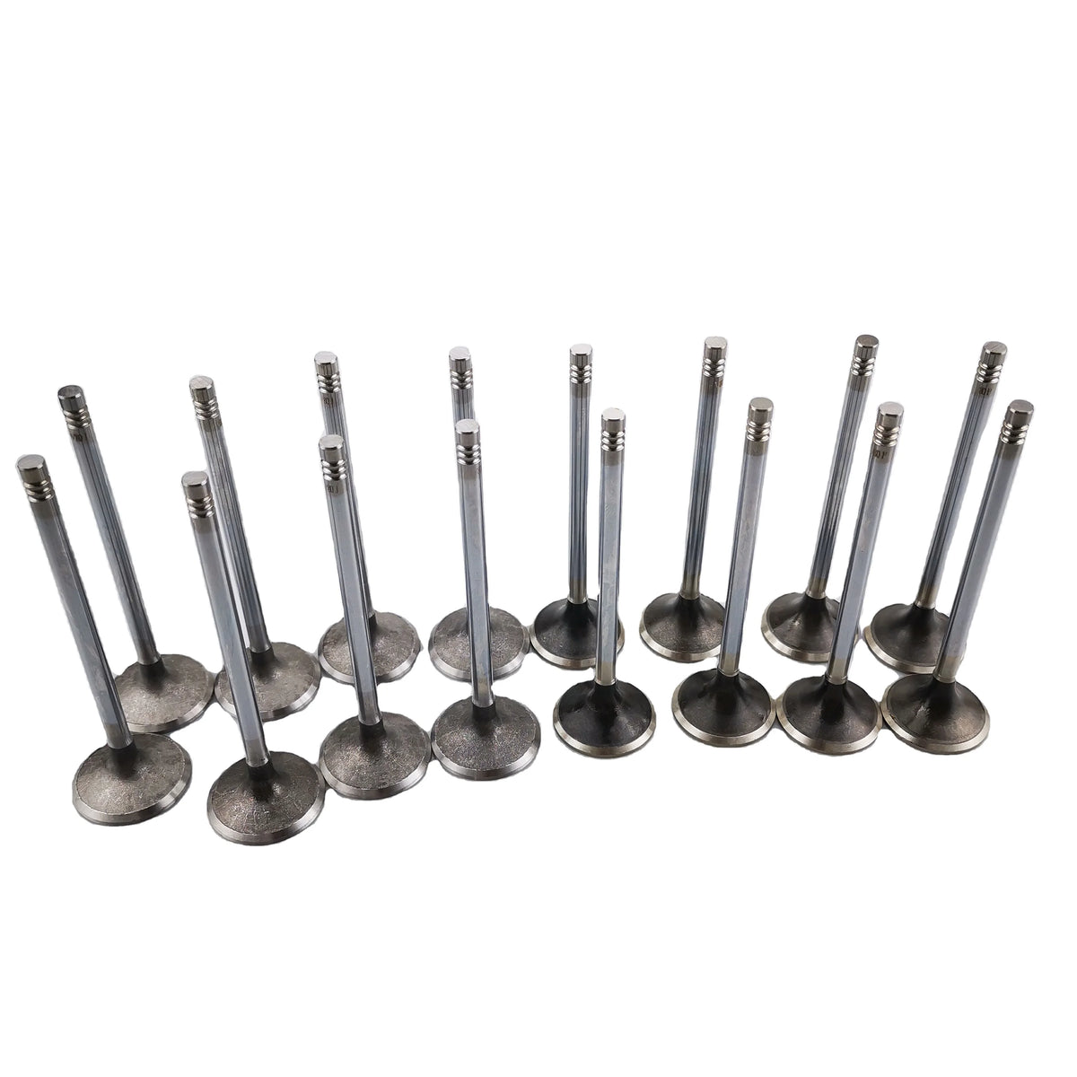 SAIC MAXUS V80 T60 Original Intake Valve C00014558 Exhaust Valve C00014557