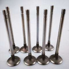 SAIC MAXUS G10 1.9T Original Intake Valve X190701 Exhaust Valve X190725