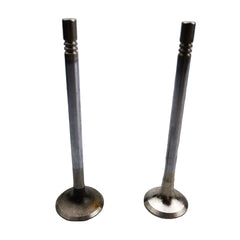 SAIC MAXUS T60 V80 D90 G10 Diesel 2.0T Original Intake Valve C00111120 Exhaust Valve C00111121