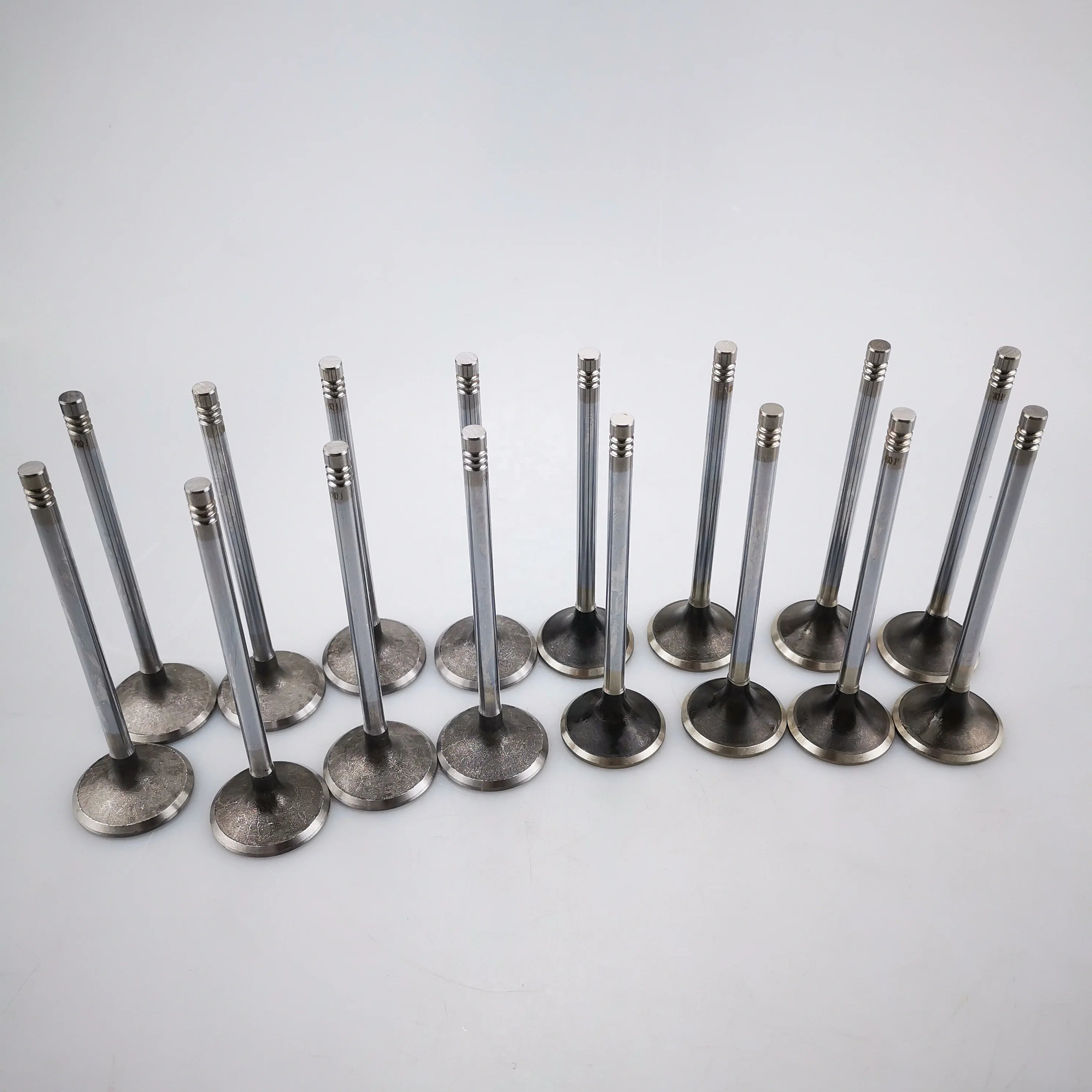 SAIC MAXUS V80 T60 Original Intake Valve C00014558 Exhaust Valve C00014557