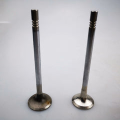 SAIC MAXUS T60 V80 D90 G10 Diesel 2.0T Original Intake Valve C00111120 Exhaust Valve C00111121