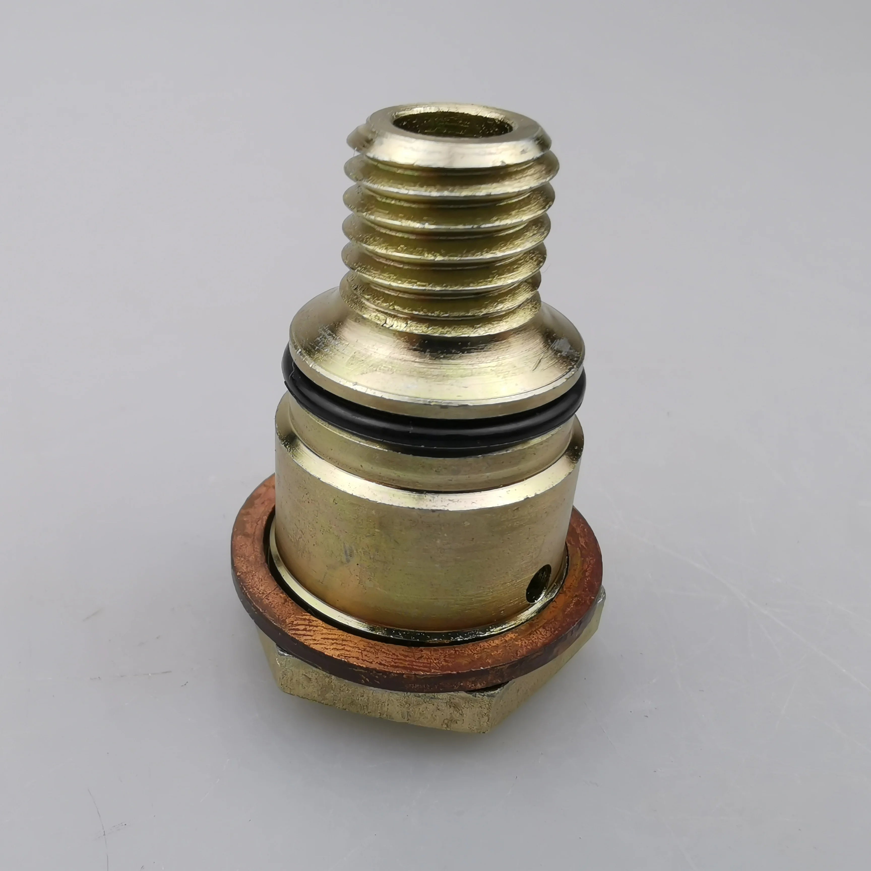SAIC MAXUS V80 Original Vacuum Pump One-way Valve C00016184