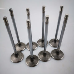 SAIC MAXUS V80 T60 Original Intake Valve C00014558 Exhaust Valve C00014557