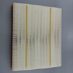 SAIC MAXUS T60 Original air Filter C00106843