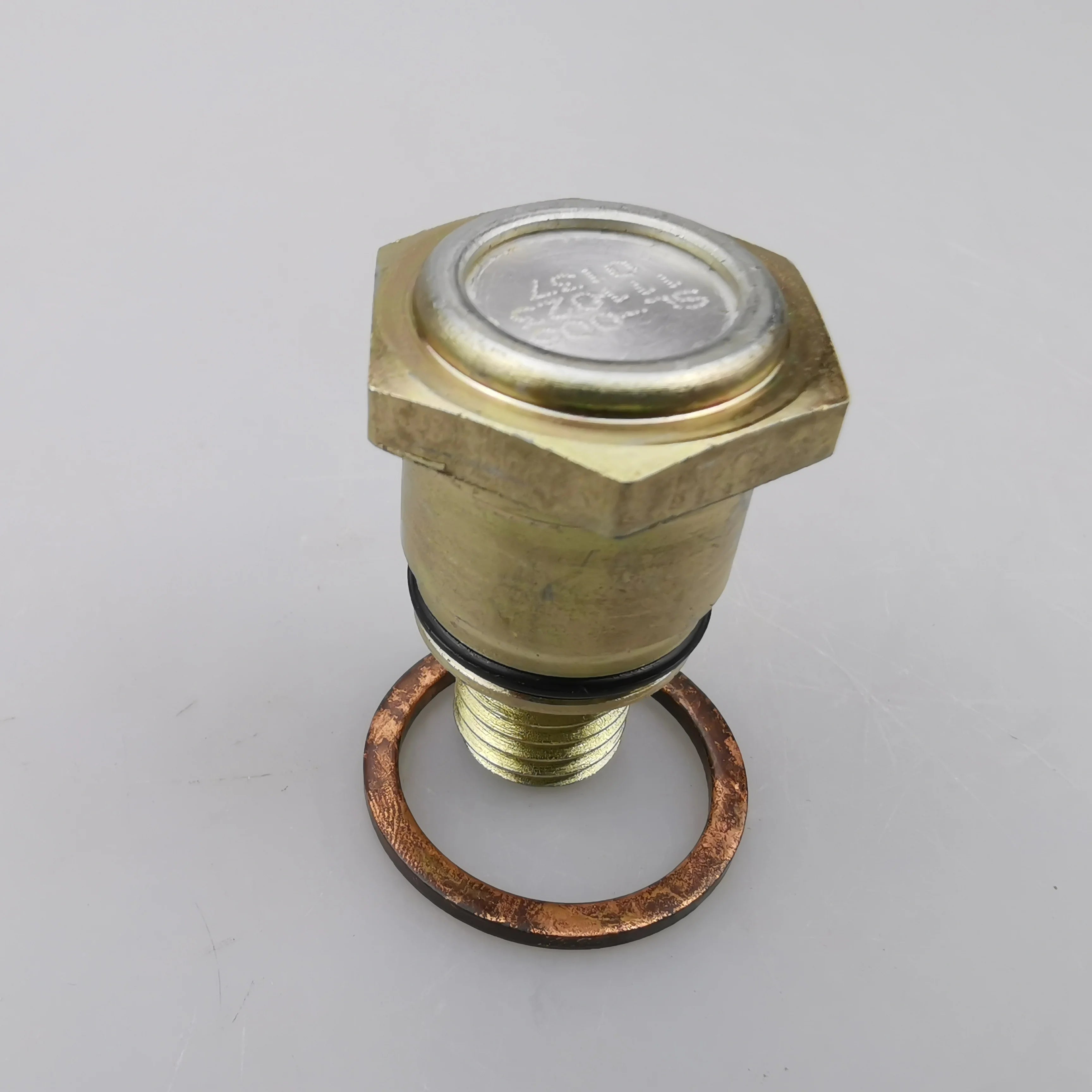SAIC MAXUS V80 Original Vacuum Pump One-way Valve C00016184