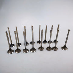SAIC MAXUS G10 1.9T Original Intake Valve X190701 Exhaust Valve X190725