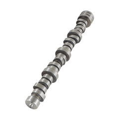 TOPPARTZ Camshaft for Chrysler Dodge Ram 1500 5.7L With MDS Truck MC1411 53022263AF