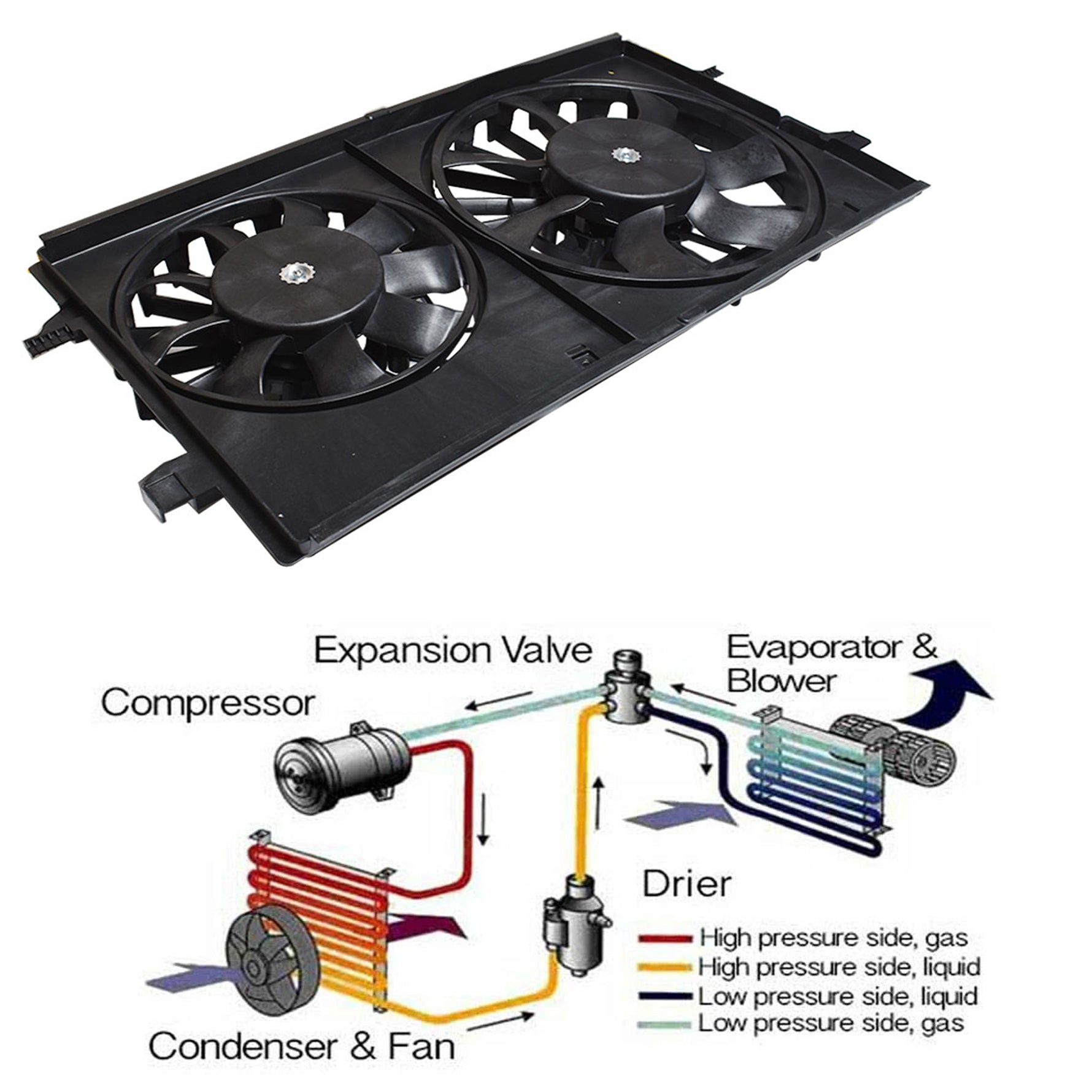 TOPPARTZ Radiator Cooling Fan Fit for 2005-2010 Pontiac G6 2004-2012 Chevrolet Malibu